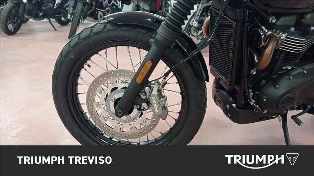 Triumph Scrambler 900 (2023 - 25) (6)