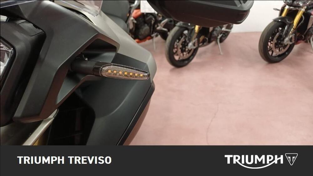 Triumph Tiger 1200 Rally Pro (2024 - 26) (3)