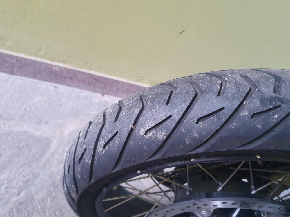 Bmw R 1250 GS (2021 - 24) (9)