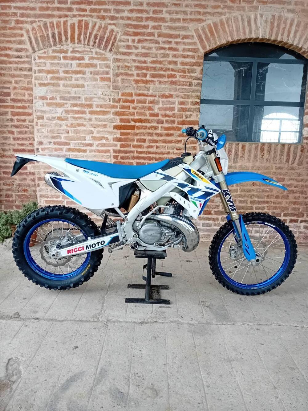 Tm Moto EN 250 2t (2021 - 22)