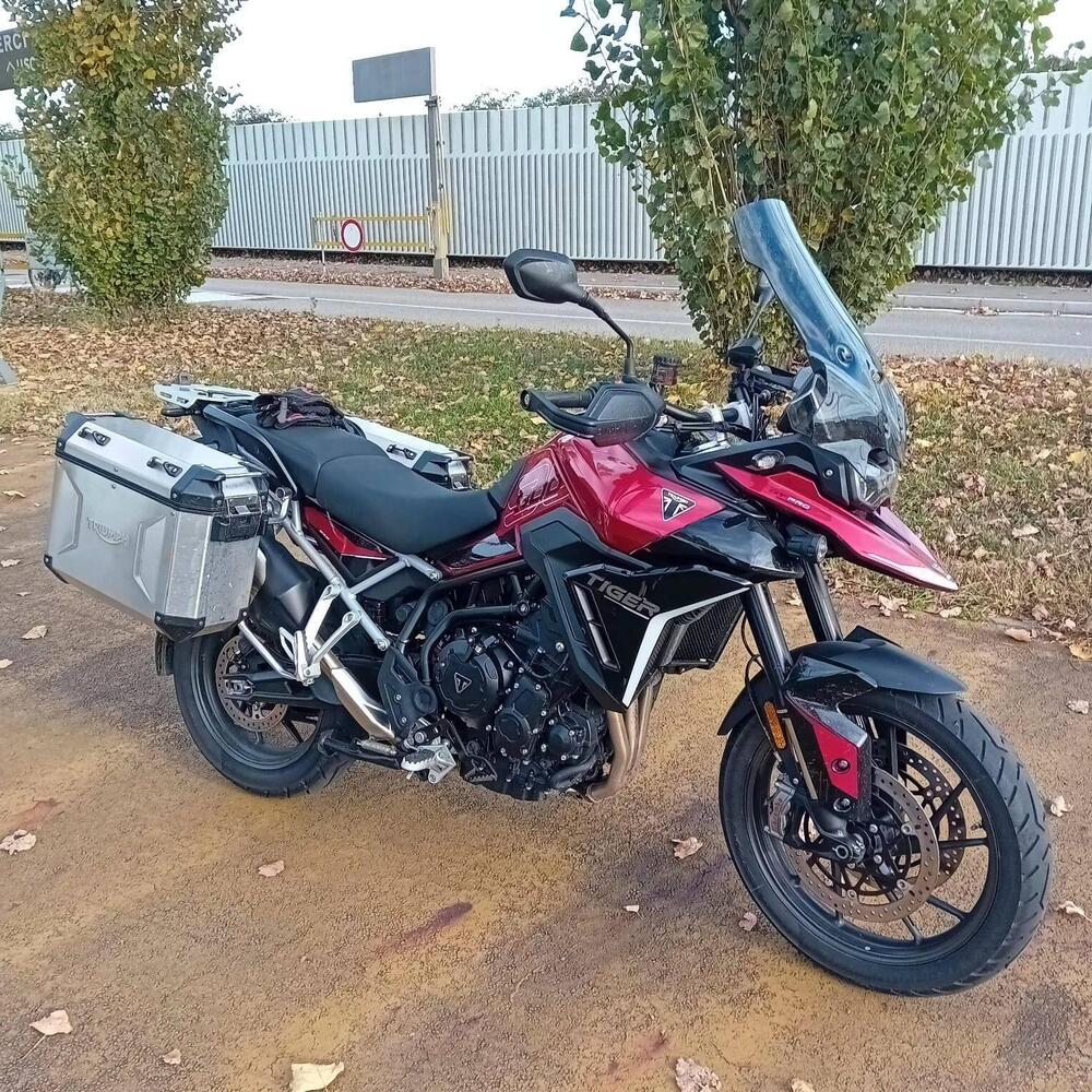 Triumph Tiger 900 GT Pro (2024 - 26)