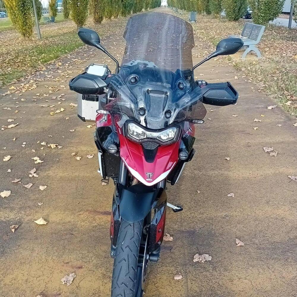 Triumph Tiger 900 GT Pro (2024 - 26) (3)