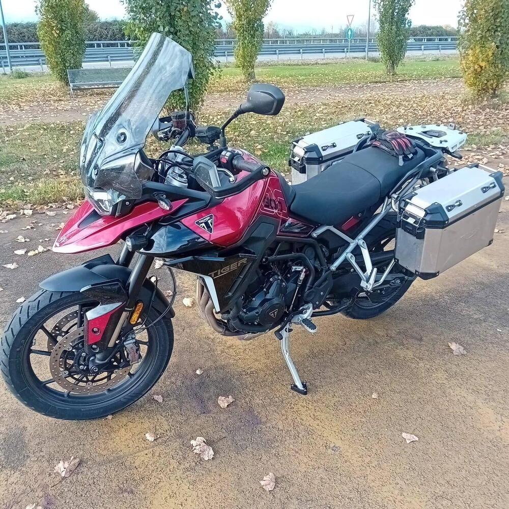 Triumph Tiger 900 GT Pro (2024 - 26) (4)
