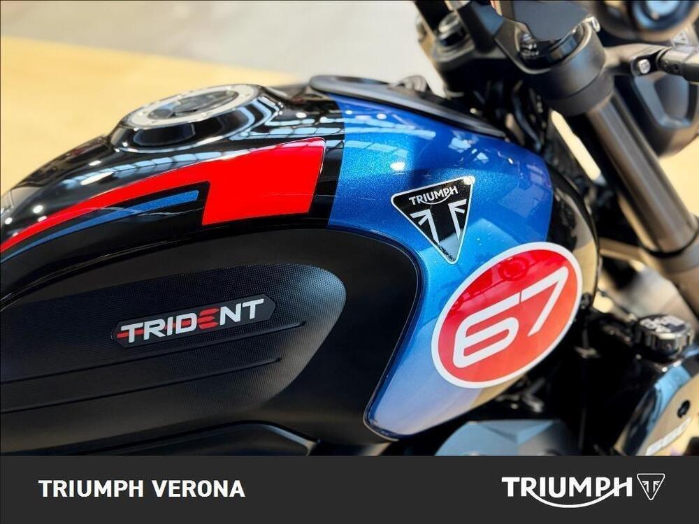Triumph Trident 660 Triple Tribute Edition (2024) (3)