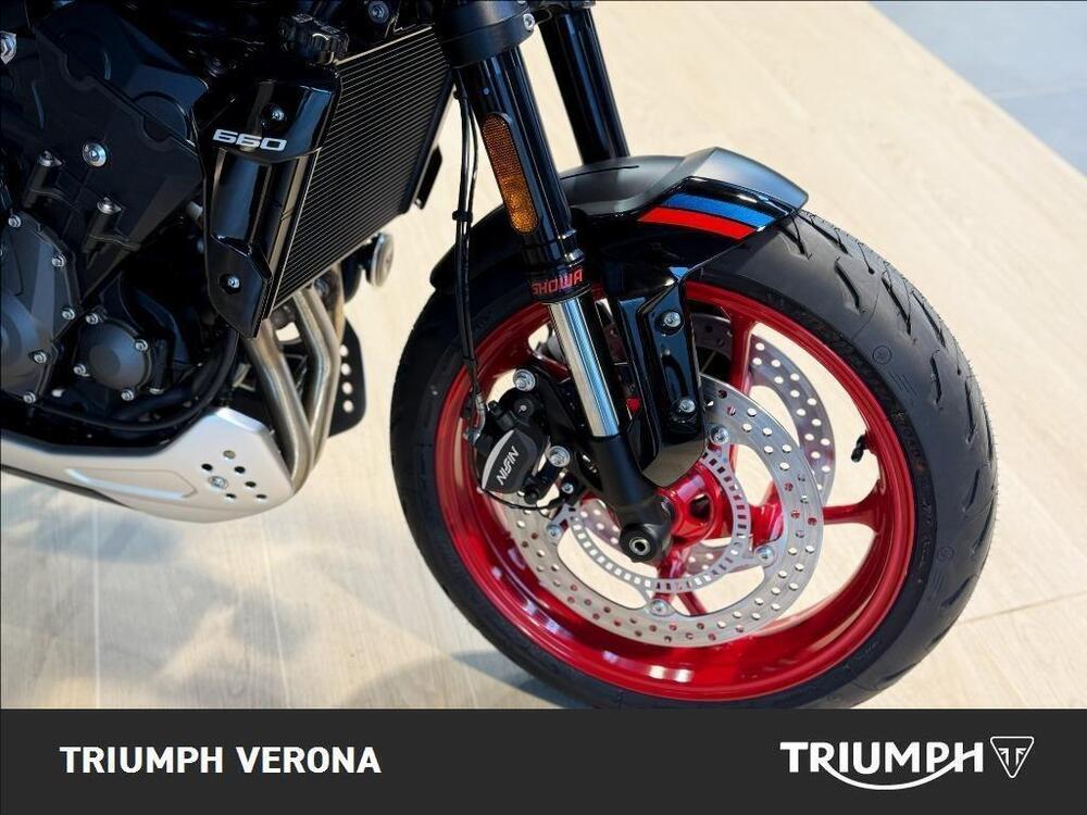 Triumph Trident 660 Triple Tribute Edition (2024) (6)
