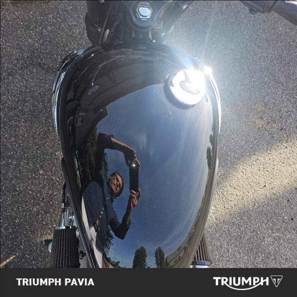 Triumph Bonneville T100 (2008 - 16) (14)