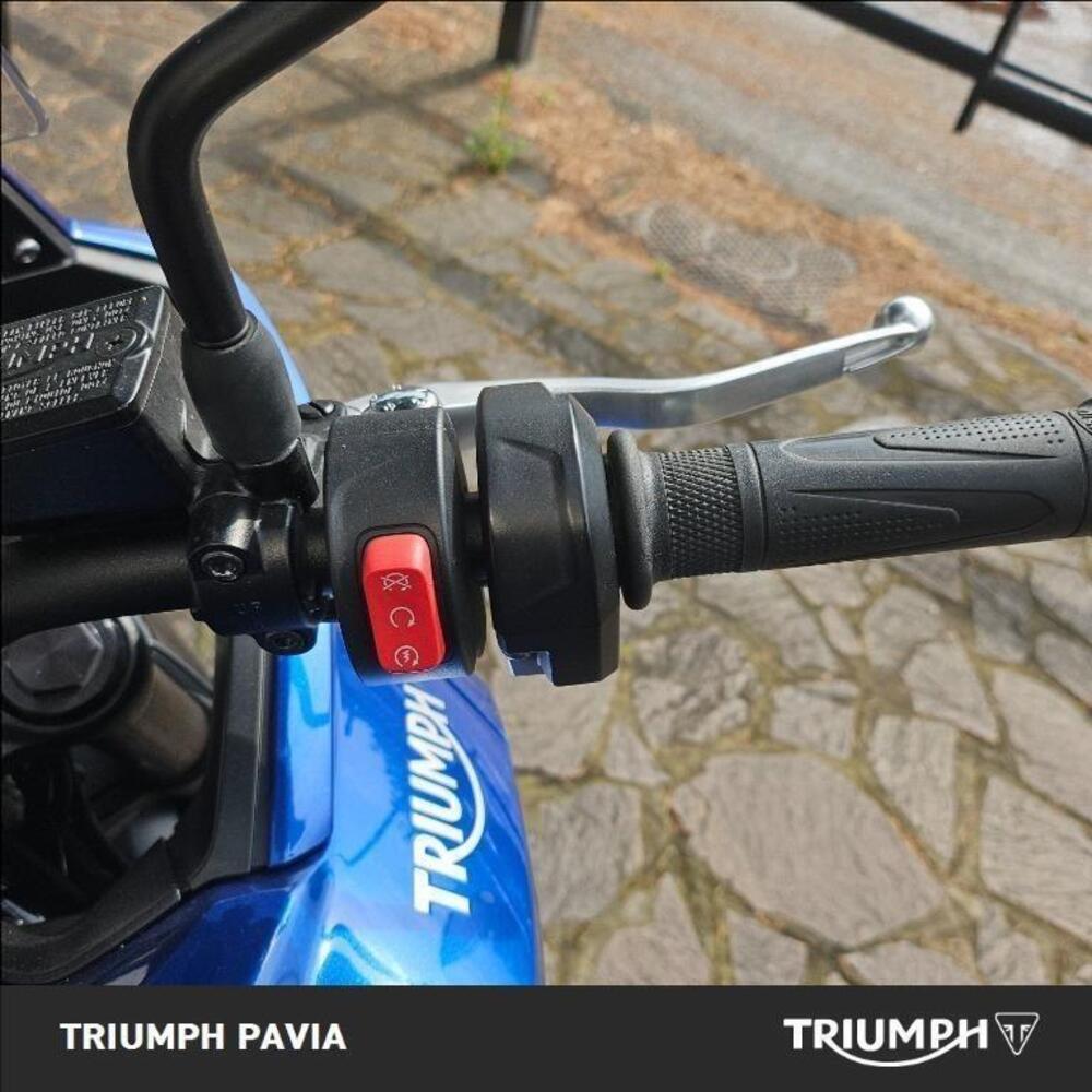 Triumph Tiger Sport 660 (2022 - 24) (26)