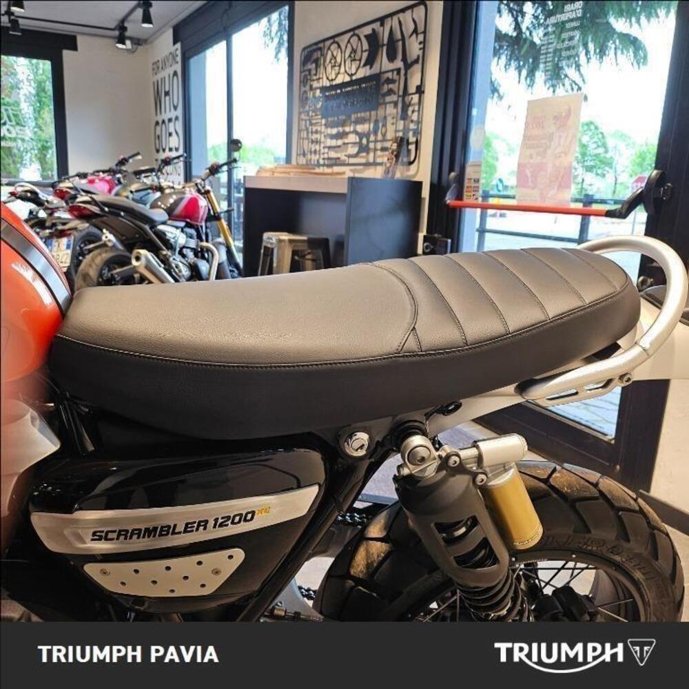 Triumph Scrambler 1200 XE (2024 - 25) (13)