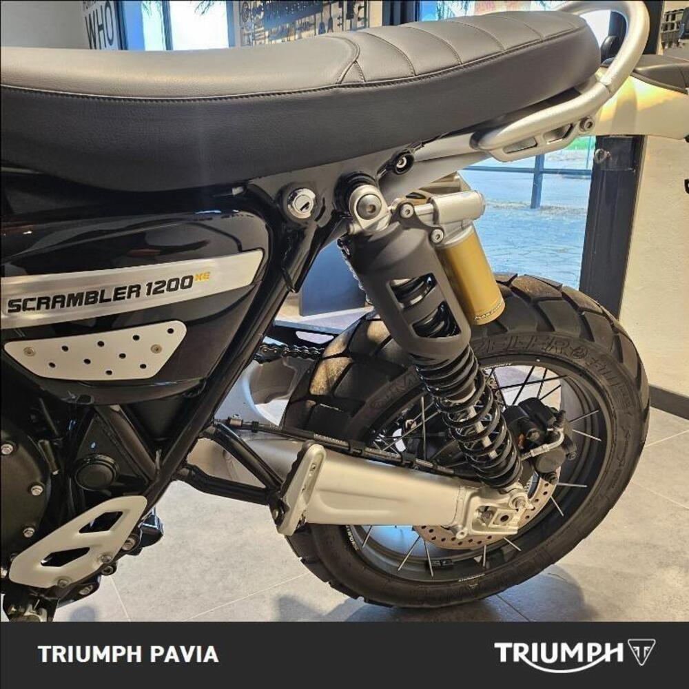 Triumph Scrambler 1200 XE (2024 - 25) (14)