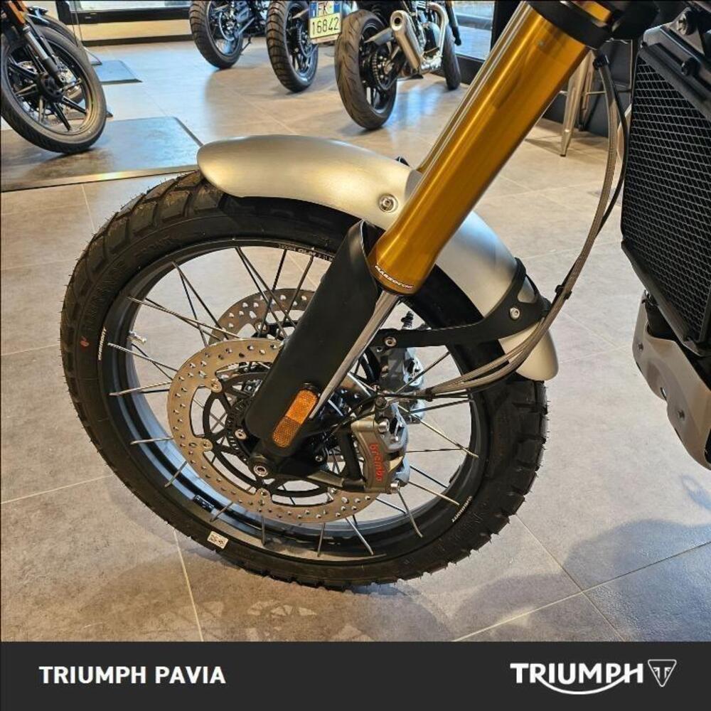 Triumph Scrambler 1200 XE (2024 - 25) (15)