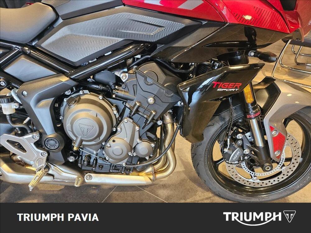 Triumph Tiger Sport 660 (2025) (12)