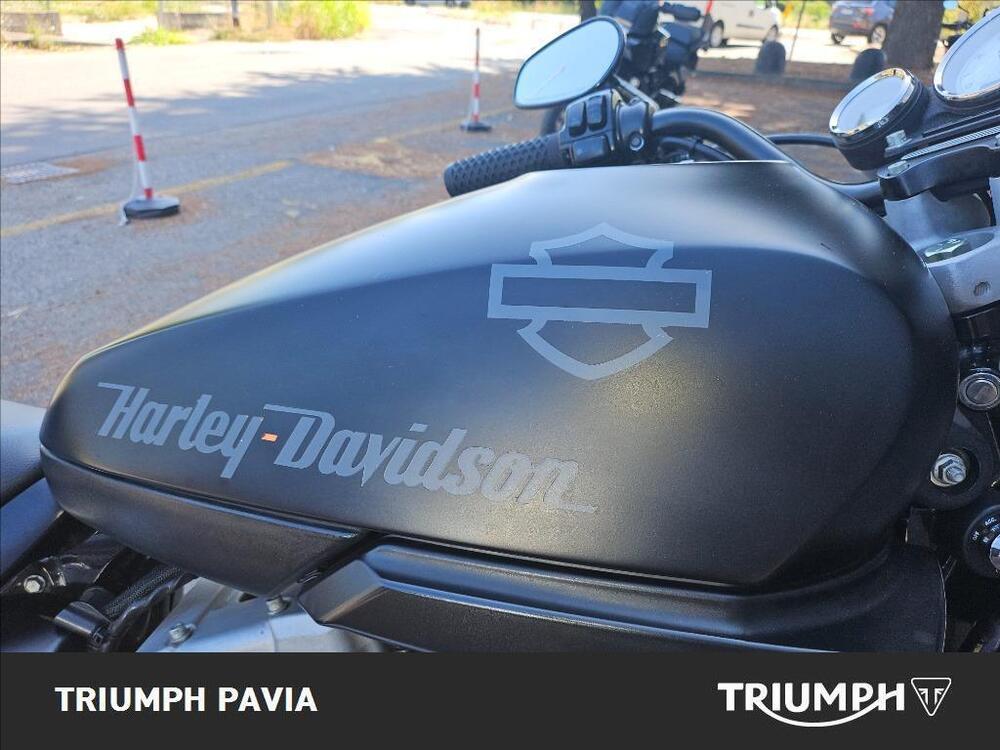 Harley-Davidson 1200 XR (2009 - 12) (16)