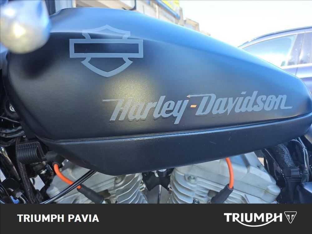 Harley-Davidson 1200 XR (2009 - 12) (11)