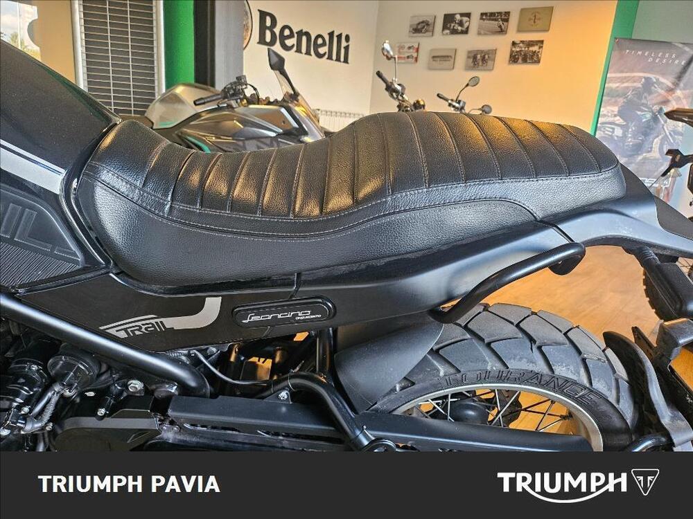 Benelli Leoncino 500 Trail (2021 - 26) (9)