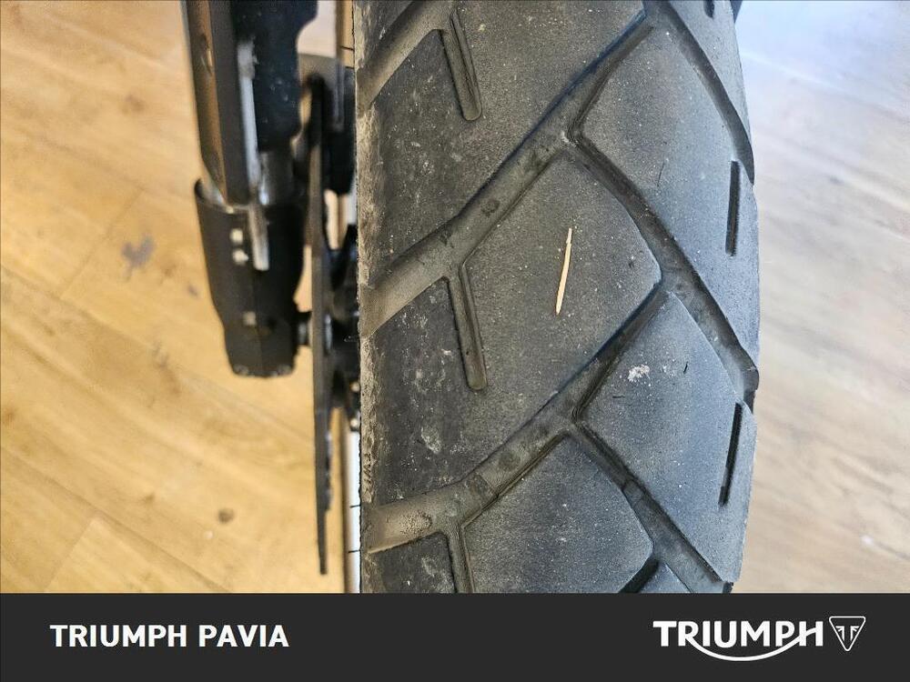 Benelli Leoncino 500 Trail (2021 - 26) (6)