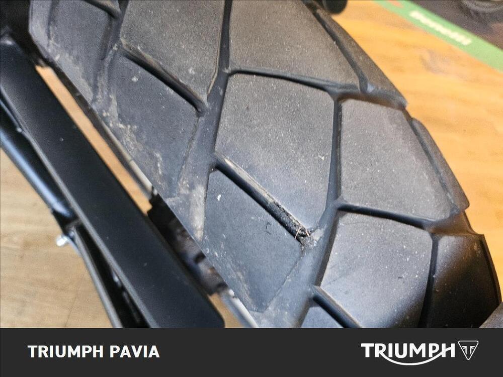 Benelli Leoncino 500 Trail (2021 - 26) (7)