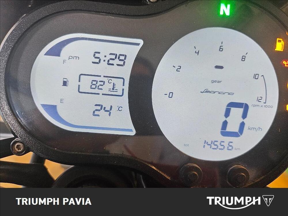 Benelli Leoncino 500 Trail (2021 - 26) (23)