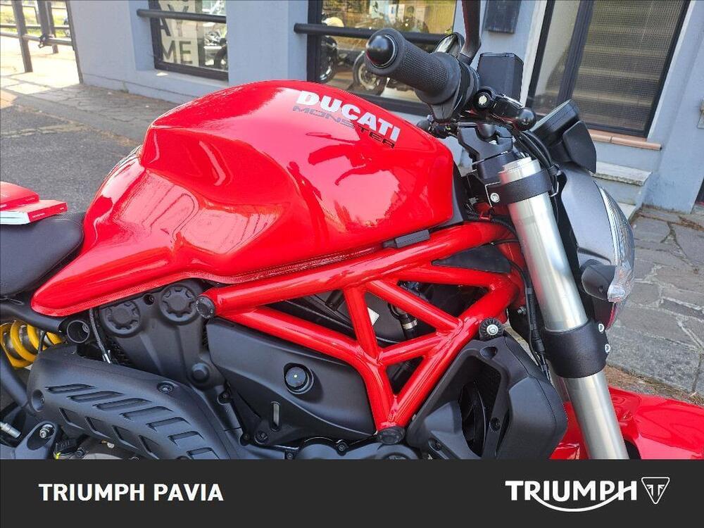 Ducati Monster 821 ABS (2014 - 17) (12)