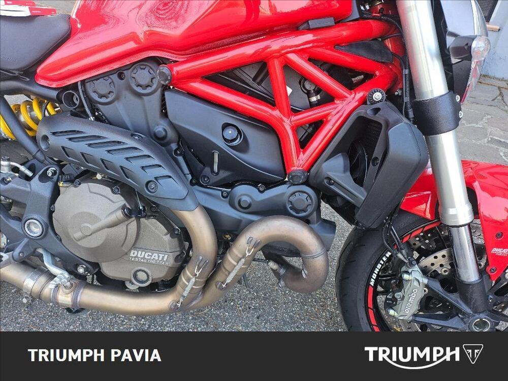 Ducati Monster 821 ABS (2014 - 17) (13)