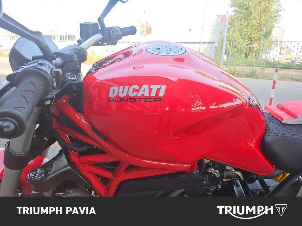 Ducati Monster 821 ABS (2014 - 17) (18)