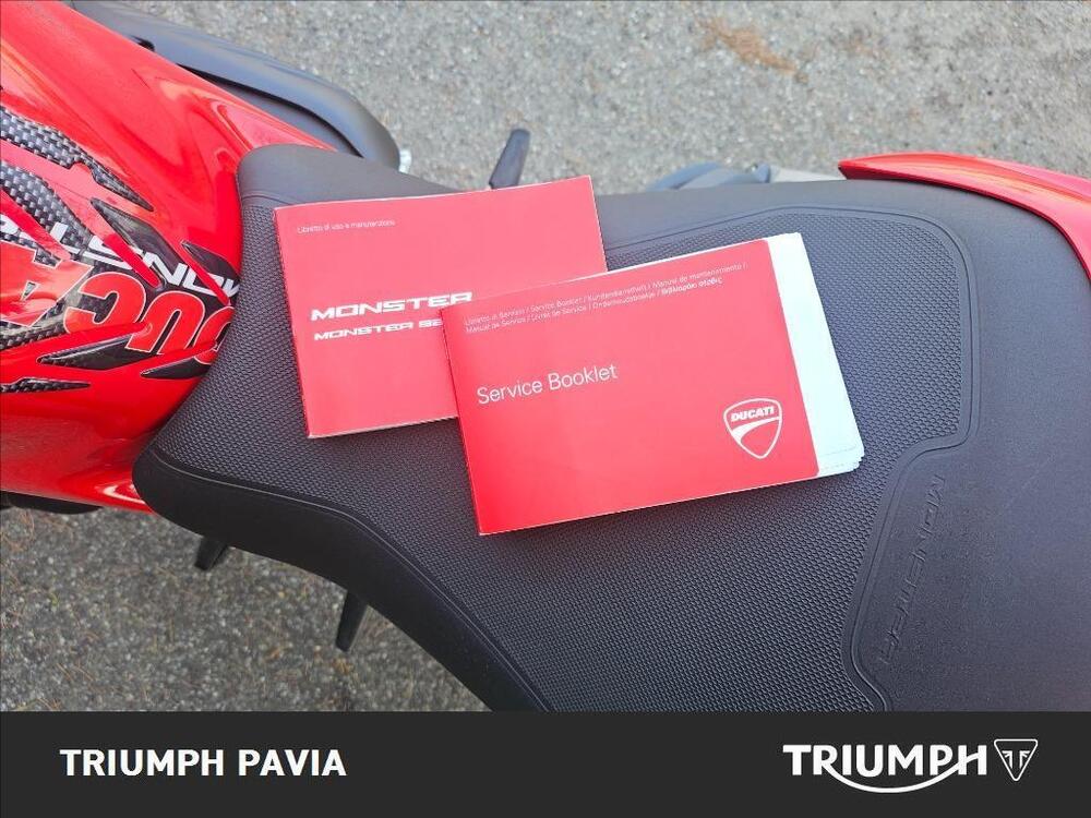 Ducati Monster 821 ABS (2014 - 17) (24)