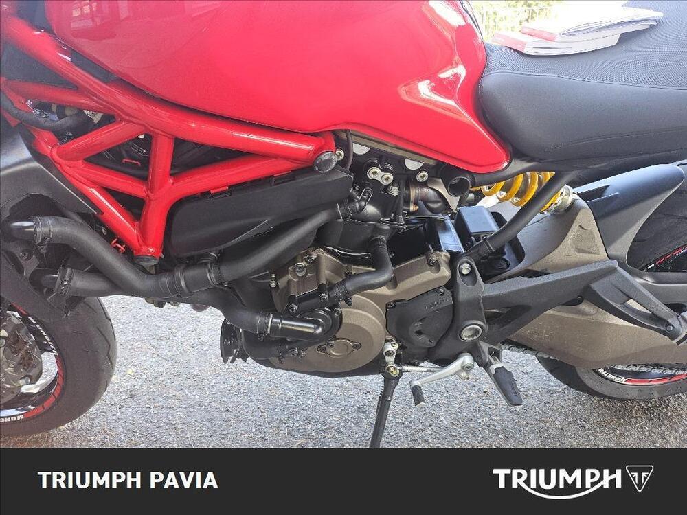 Ducati Monster 821 ABS (2014 - 17) (20)