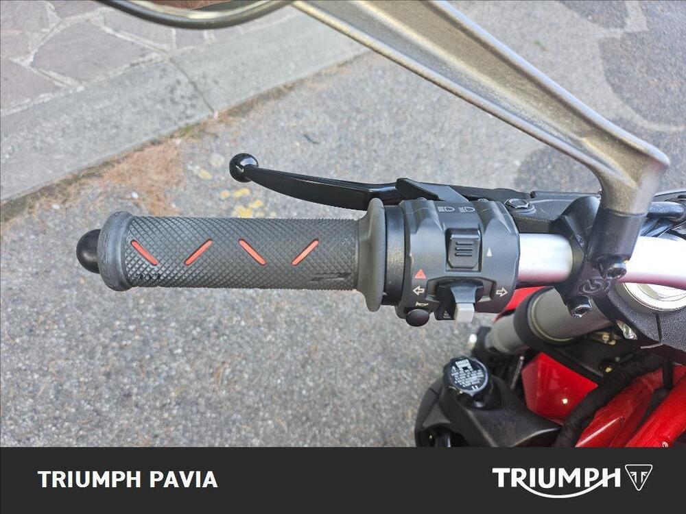 Ducati Monster 821 ABS (2014 - 17) (27)