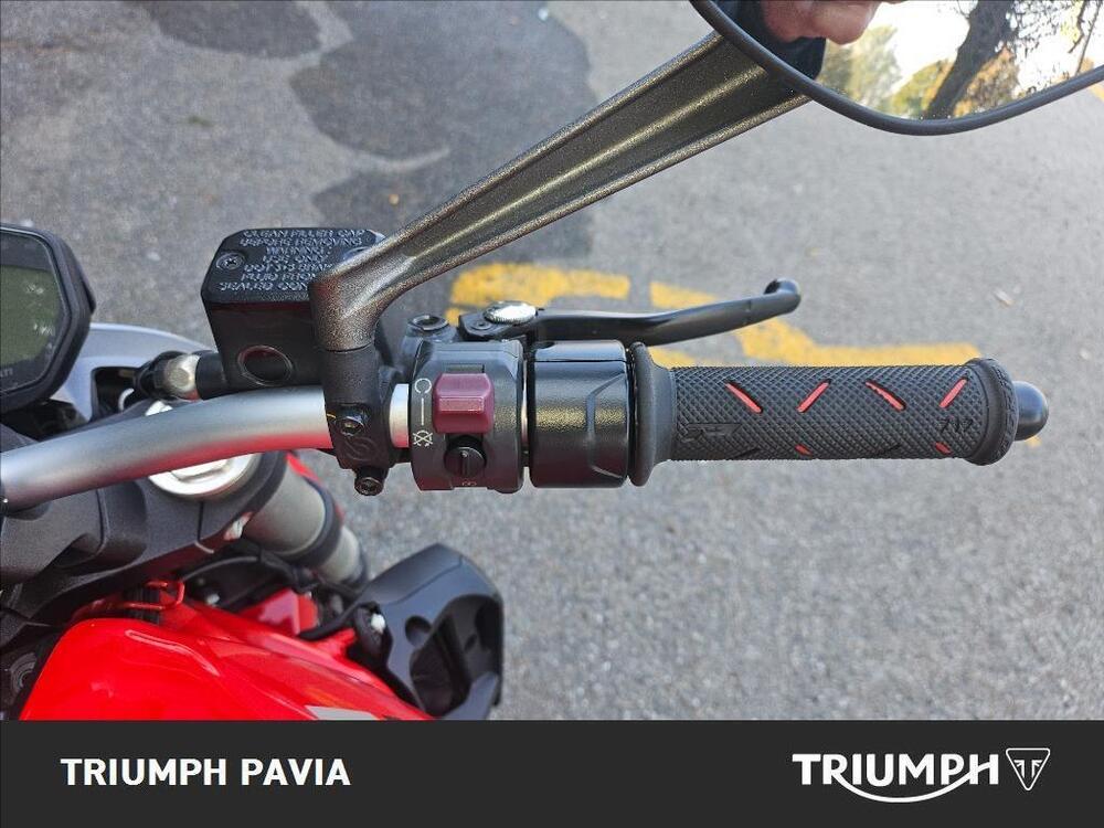 Ducati Monster 821 ABS (2014 - 17) (28)