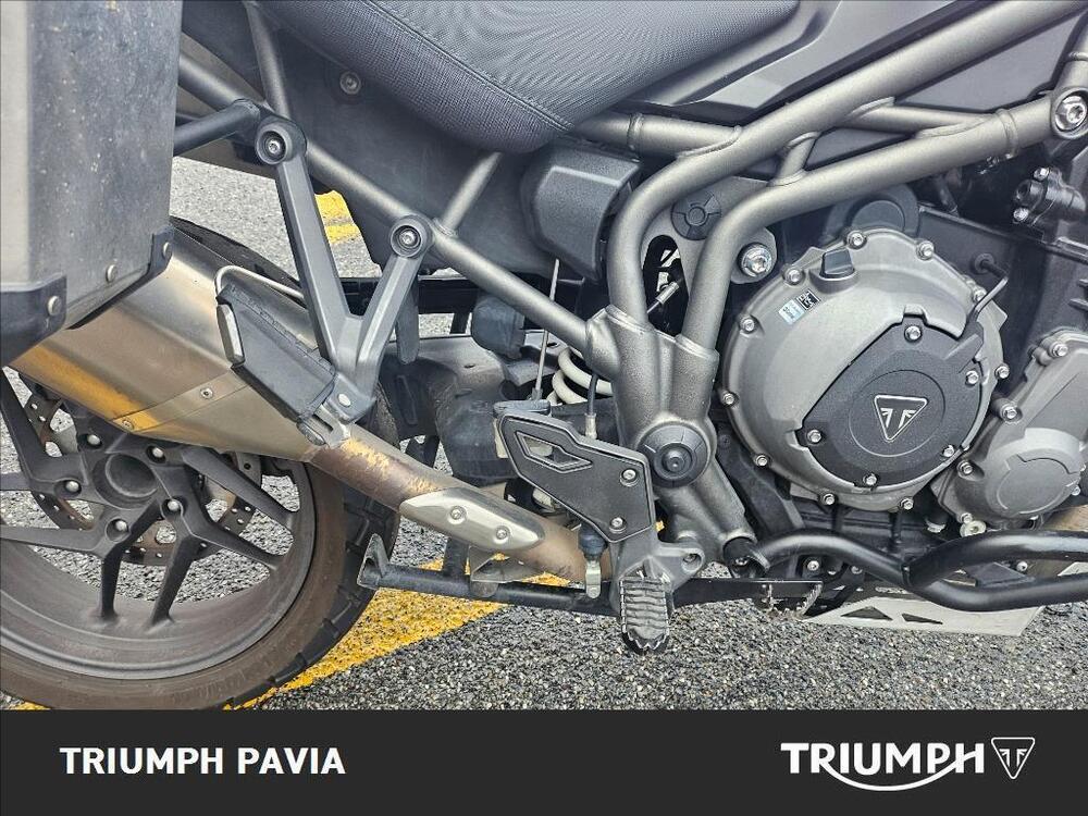 Triumph Tiger 1200 XRt (2018 - 20) (13)