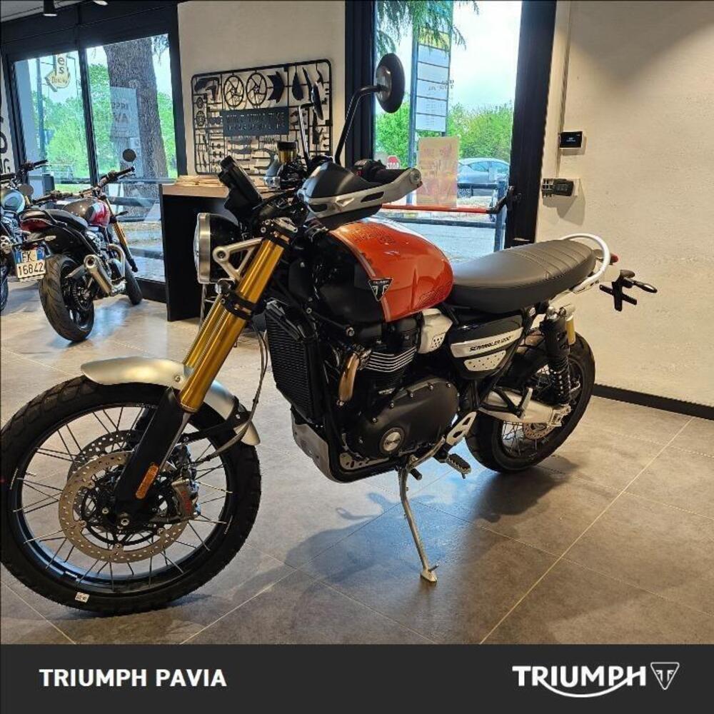 Triumph Scrambler 1200 XE (2024 - 25) (5)