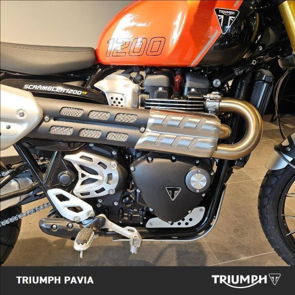 Triumph Scrambler 1200 XE (2024 - 25) (9)