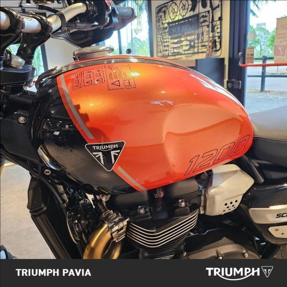 Triumph Scrambler 1200 XE (2024 - 25) (11)
