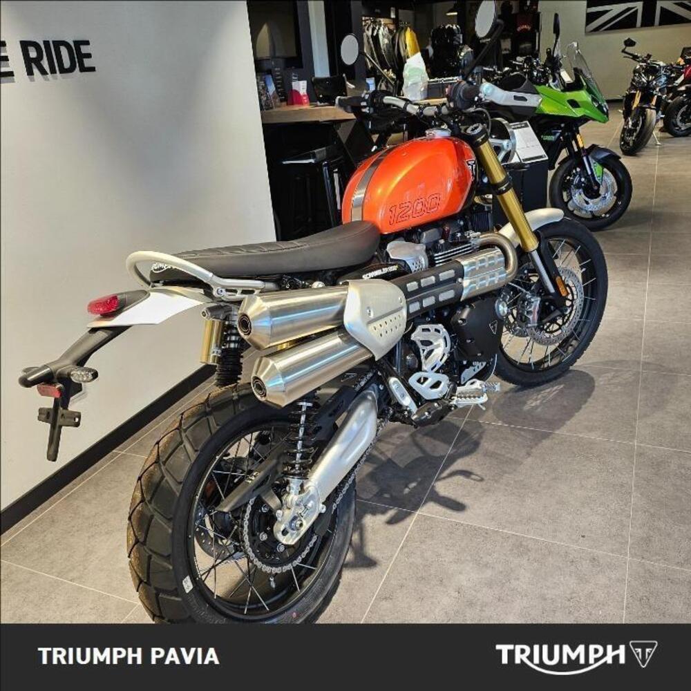Triumph Scrambler 1200 XE (2024 - 25) (3)