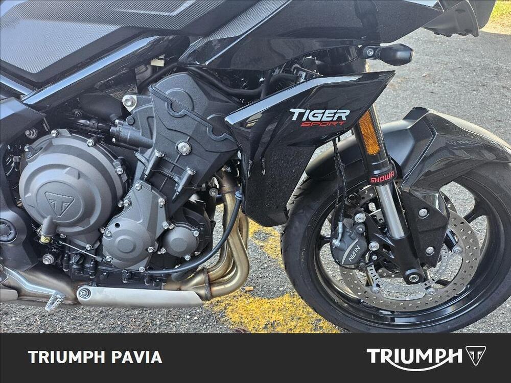 Triumph Tiger Sport 660 (2025) (11)