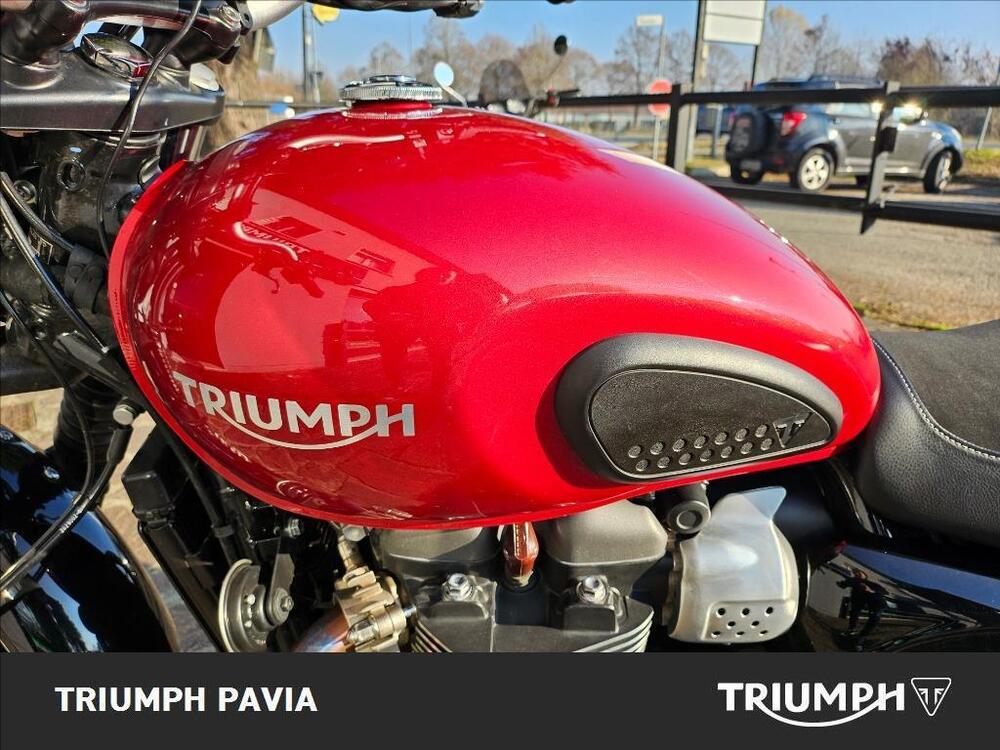 Triumph Street Scrambler 900 (2019 - 20) (17)