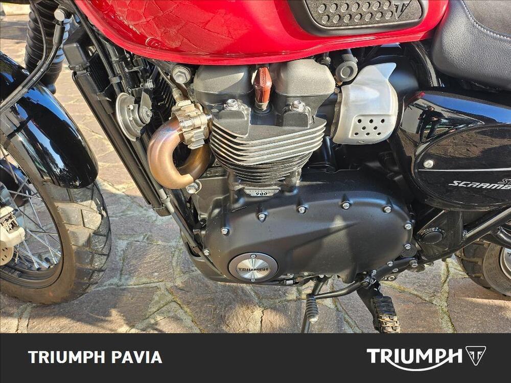 Triumph Street Scrambler 900 (2019 - 20) (18)