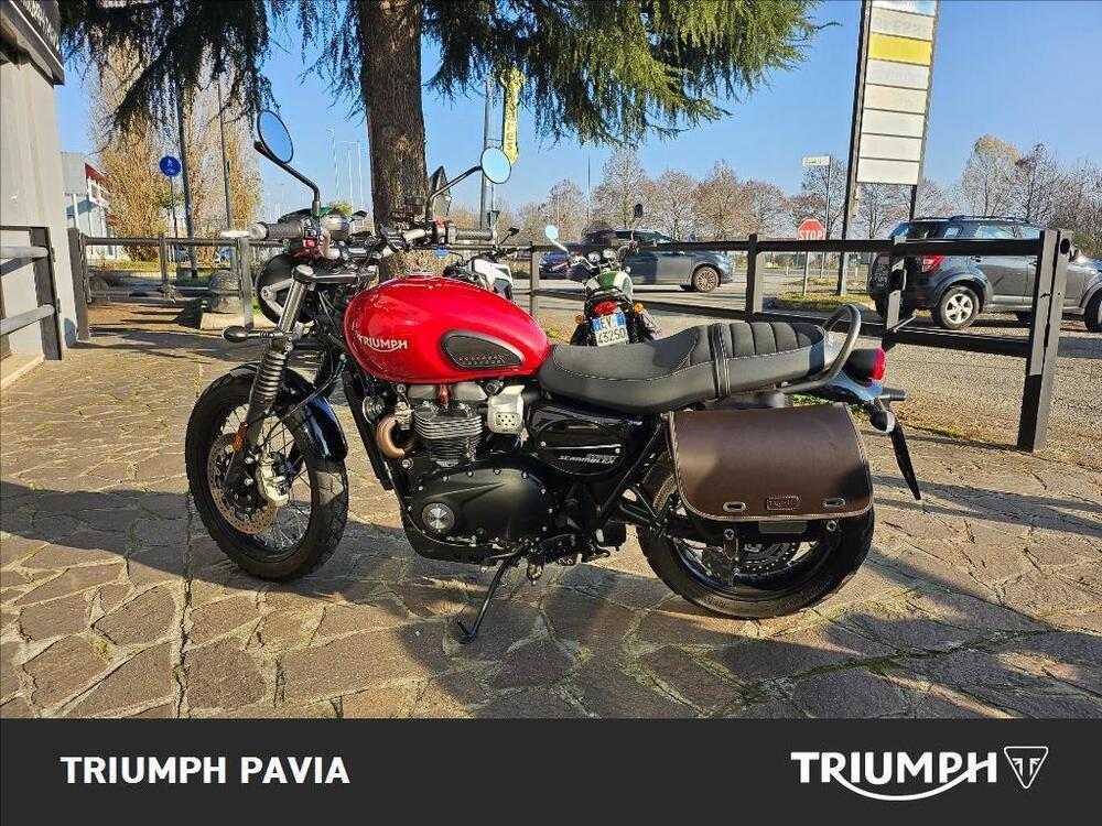 Triumph Street Scrambler 900 (2019 - 20) (6)