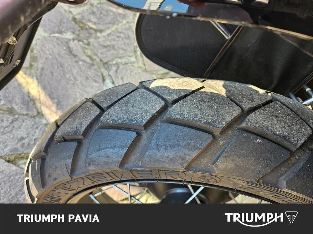 Triumph Street Scrambler 900 (2019 - 20) (10)