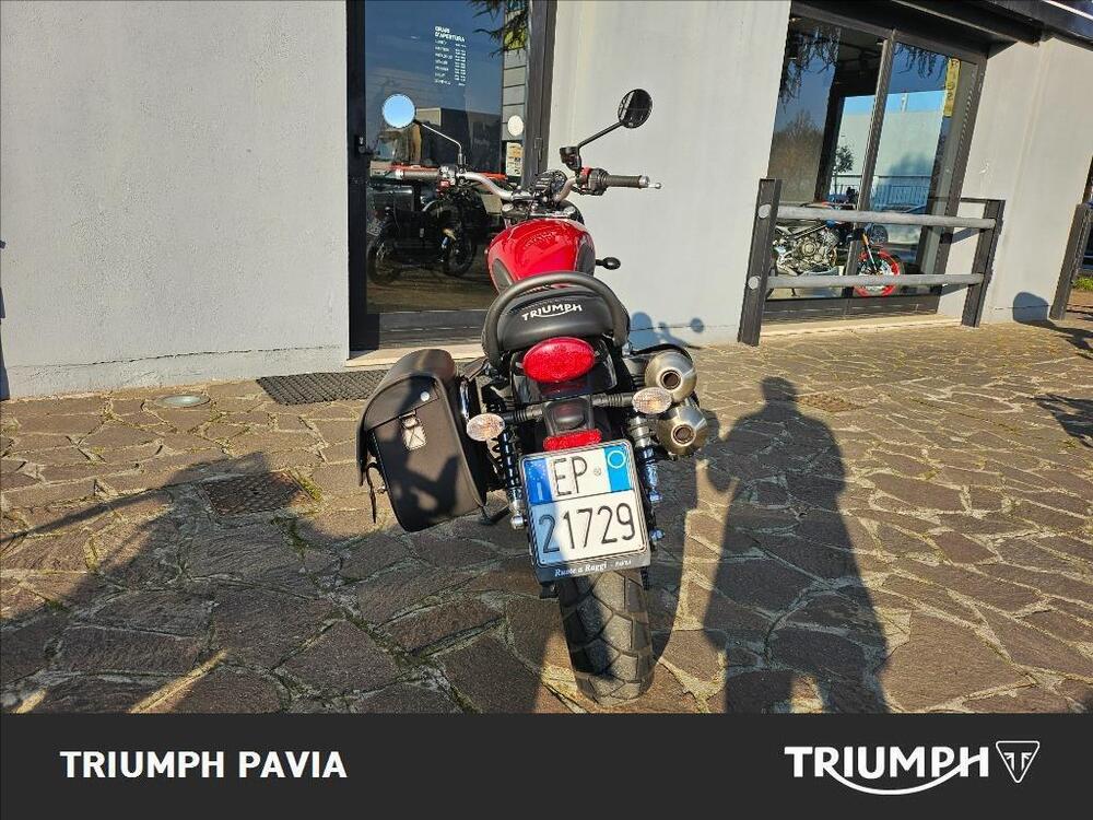 Triumph Street Scrambler 900 (2019 - 20) (4)