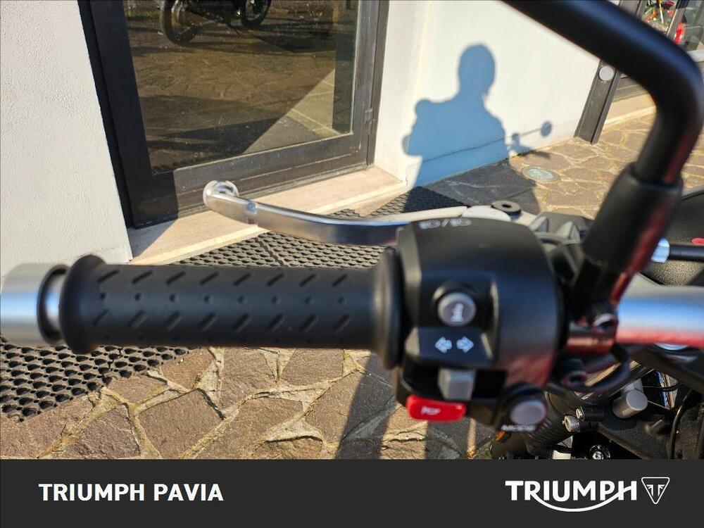 Triumph Street Scrambler 900 (2019 - 20) (21)