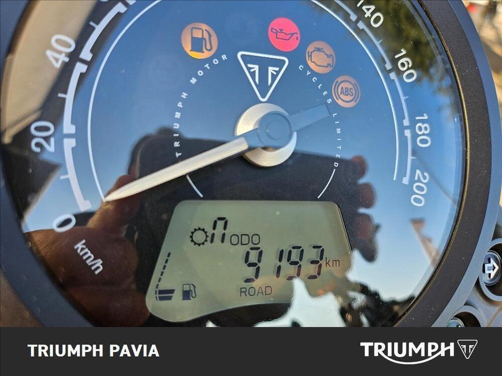 Triumph Street Scrambler 900 (2019 - 20) (22)