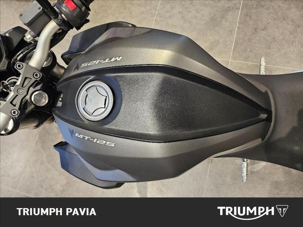 Yamaha MT-125 (2014 - 16) (11)