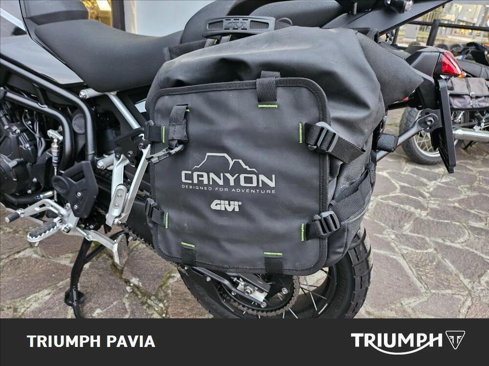 Triumph Tiger 900 Rally Pro (2024 - 26) (16)