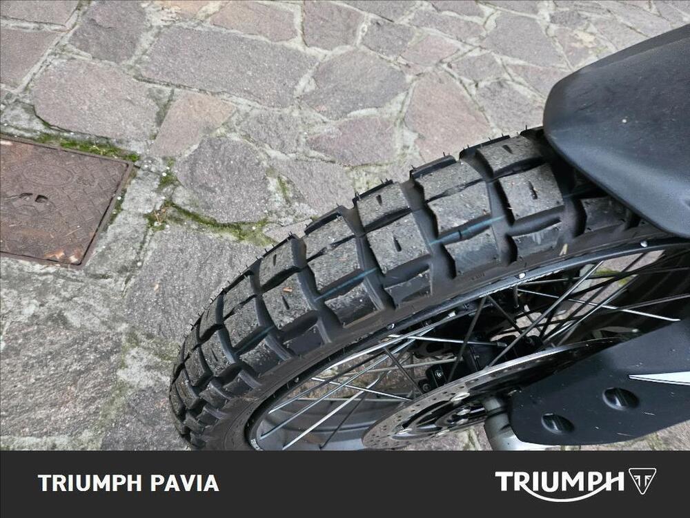 Triumph Tiger 900 Rally Pro (2024 - 26) (8)