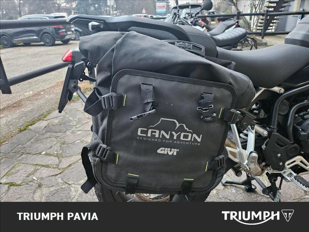 Triumph Tiger 900 Rally Pro (2024 - 26) (18)
