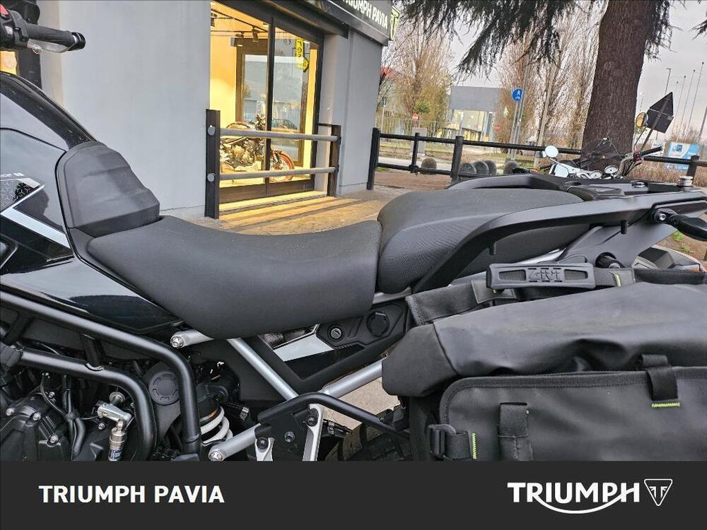 Triumph Tiger 900 Rally Pro (2024 - 26) (13)