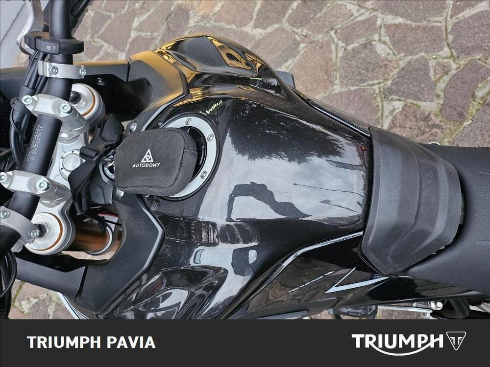 Triumph Tiger 900 Rally Pro (2024 - 26) (23)