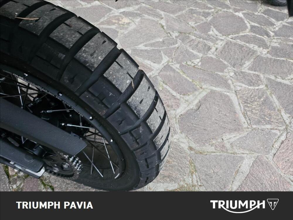 Triumph Tiger 900 Rally Pro (2024 - 26) (9)