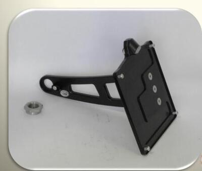 Portatarga laterale nero Gray Indian con luce targ 