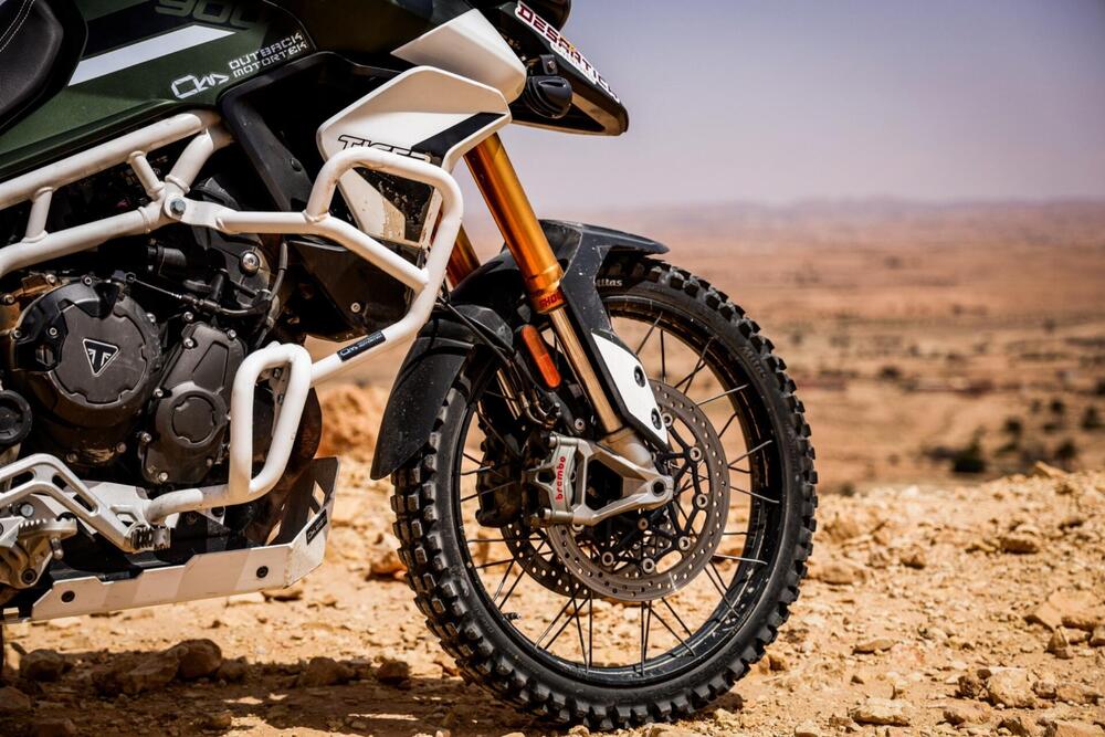 Triumph Tiger 900 Rally Pro (2020 - 23) (3)
